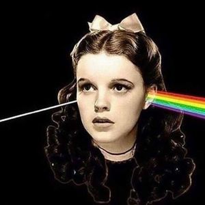 Meet your Posher, Cameron